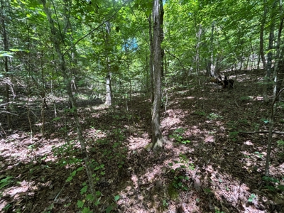 Land For Sale in Sequatchie County! - image 18
