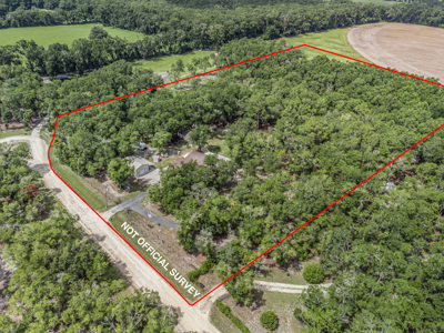 Home on 5 Acres in Trenton, FL For Sale - image 3
