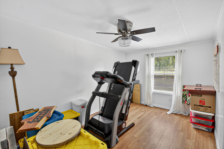 Home on 5 Acres in Trenton, FL For Sale - image 29
