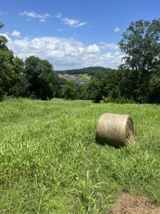 Land for Sale in Maury County, Tennessee - image 8