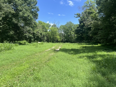 Land for Sale in Maury County, Tennessee - image 13