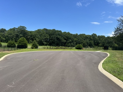 Land for Sale in Maury County, Tennessee - image 7