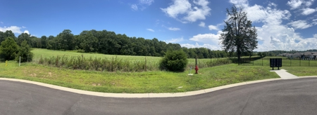 Land for Sale in Maury County, Tennessee - image 6
