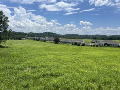 Land for Sale in Maury County, Tennessee - image 1