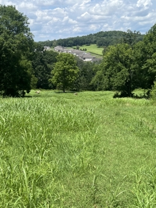 Land for Sale in Maury County, Tennessee - image 10
