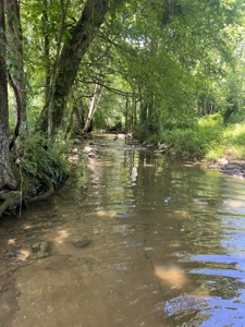 Land for Sale in Maury County, Tennessee - image 14