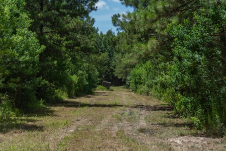 Lapine 216 Multi Use Recreational Timber – Ouachita Parish - image 7