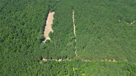 Lapine 216 Multi Use Recreational Timber – Ouachita Parish - image 24