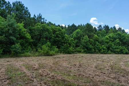 Lapine 216 Multi Use Recreational Timber – Ouachita Parish - image 11