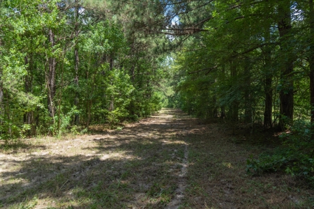 Lapine 216 Multi Use Recreational Timber – Ouachita Parish - image 5
