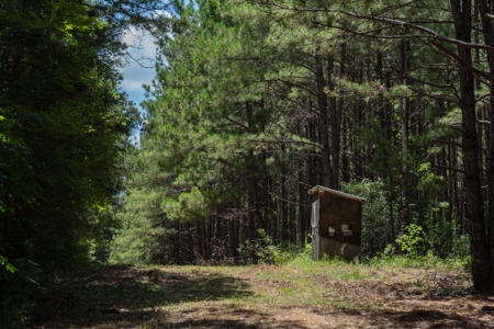 Lapine 216 Multi Use Recreational Timber – Ouachita Parish - image 16