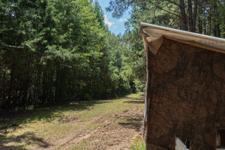 Lapine 216 Multi Use Recreational Timber – Ouachita Parish - image 15