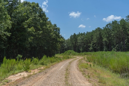 Lapine 216 Multi Use Recreational Timber – Ouachita Parish - image 21