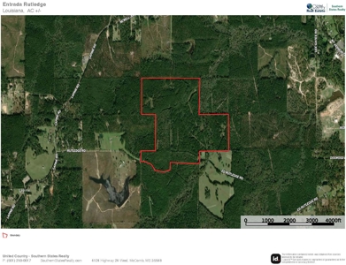 Lapine 216 Multi Use Recreational Timber – Ouachita Parish - image 27