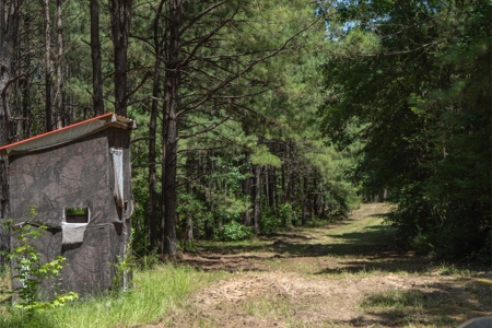 Lapine 216 Multi Use Recreational Timber – Ouachita Parish - image 20