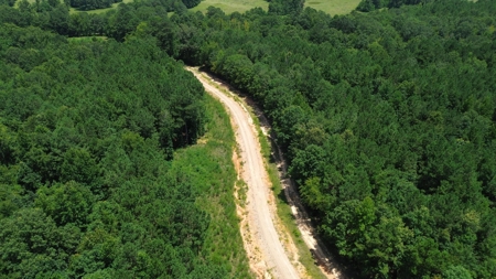 Lapine 216 Multi Use Recreational Timber – Ouachita Parish - image 2