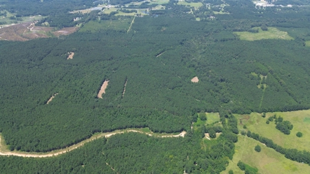 Lapine 216 Multi Use Recreational Timber – Ouachita Parish - image 23