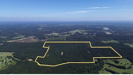 Lapine 216 Multi Use Recreational Timber – Ouachita Parish - image 28
