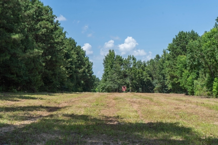 Lapine 216 Multi Use Recreational Timber – Ouachita Parish - image 17