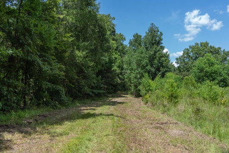 Lapine 216 Multi Use Recreational Timber – Ouachita Parish - image 1
