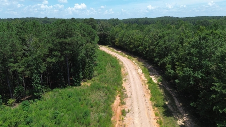 Lapine 216 Multi Use Recreational Timber – Ouachita Parish - image 25