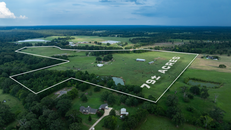 East Texas Cattle Ranch for Sale Carthage TX Panola County - image 9