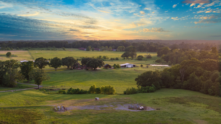 East Texas Cattle Ranch for Sale Carthage TX Panola County - image 10