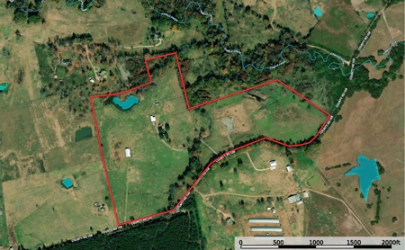 East Texas Cattle Ranch for Sale Carthage TX Panola County - image 38