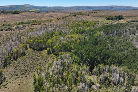 Colorado Ranch Property For Sale - image 28