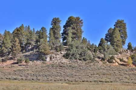 Colorado Ranch Property For Sale - image 40