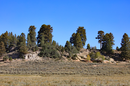 Colorado Ranch Property For Sale - image 37