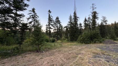 Build-Ready Wooded Acreage with Power, Well & Shop in Orofino, ID - image 17