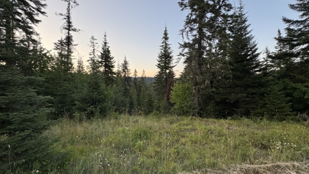 Build-Ready Wooded Acreage with Power, Well & Shop in Orofino, ID - image 15
