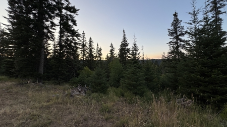 Build-Ready Wooded Acreage with Power, Well & Shop in Orofino, ID - image 16