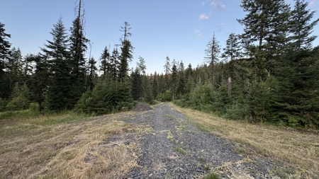 Build-Ready Wooded Acreage with Power, Well & Shop in Orofino, ID - image 18