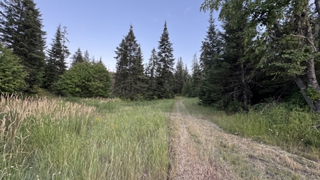 Build-Ready Wooded Acreage with Power, Well & Shop in Orofino, ID - image 11