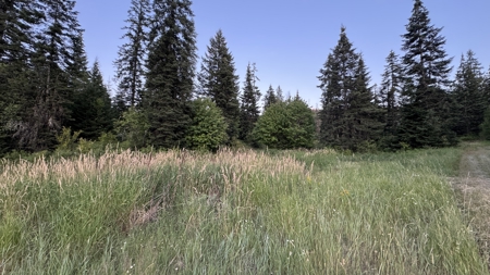 Build-Ready Wooded Acreage with Power, Well & Shop in Orofino, ID - image 10