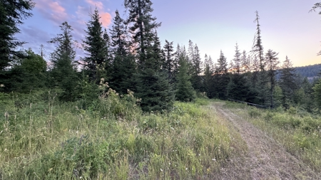 Build-Ready Wooded Acreage with Power, Well & Shop in Orofino, ID - image 13