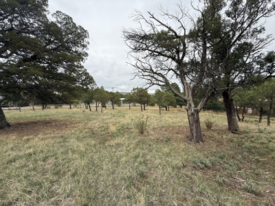 White Mountain Development Lot 1 for Sale in Ruidoso, NM - image 2