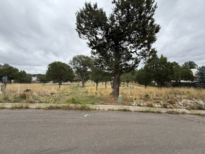 White Mountain Development Lot 1 for Sale in Ruidoso, NM - image 4