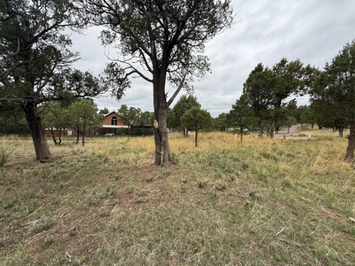 White Mountain Development Lot 1 for Sale in Ruidoso, NM - image 3