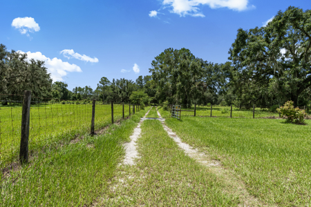 Beautiful 3 Bedroom Home For Sale in Chiefland, FL - image 48