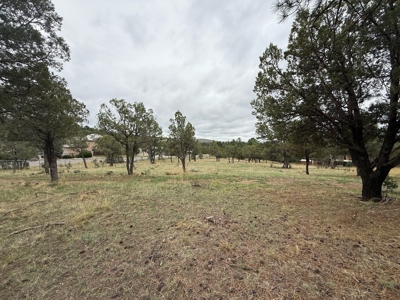 White Mountain Development Lot 2 for Sale in Ruidoso, NM - image 2