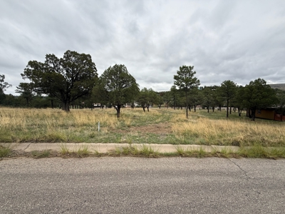 White Mountain Development Lot 3 for Sale in Ruidoso, NM - image 3