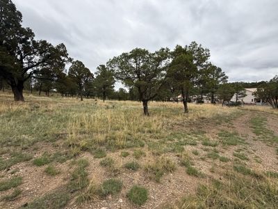 White Mountain Development Lot 3 for Sale in Ruidoso, NM - image 2