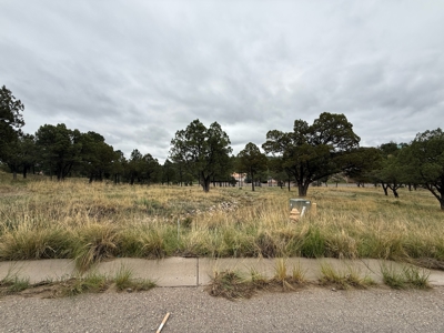 White Mountain Development Lot 4 for Sale in Ruidoso, NM - image 4