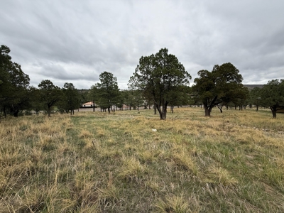 White Mountain Development Lot 4 for Sale in Ruidoso, NM - image 3