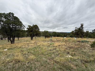 White Mountain Development Lot 4 for Sale in Ruidoso, NM - image 2
