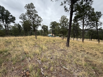 White Mountain Development Lot 5 for Sale in Ruidoso, NM - image 3