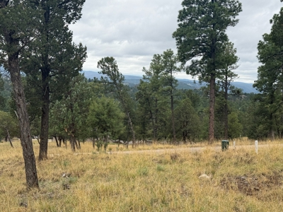 White Mountain Development Lot 5 for Sale in Ruidoso, NM - image 2